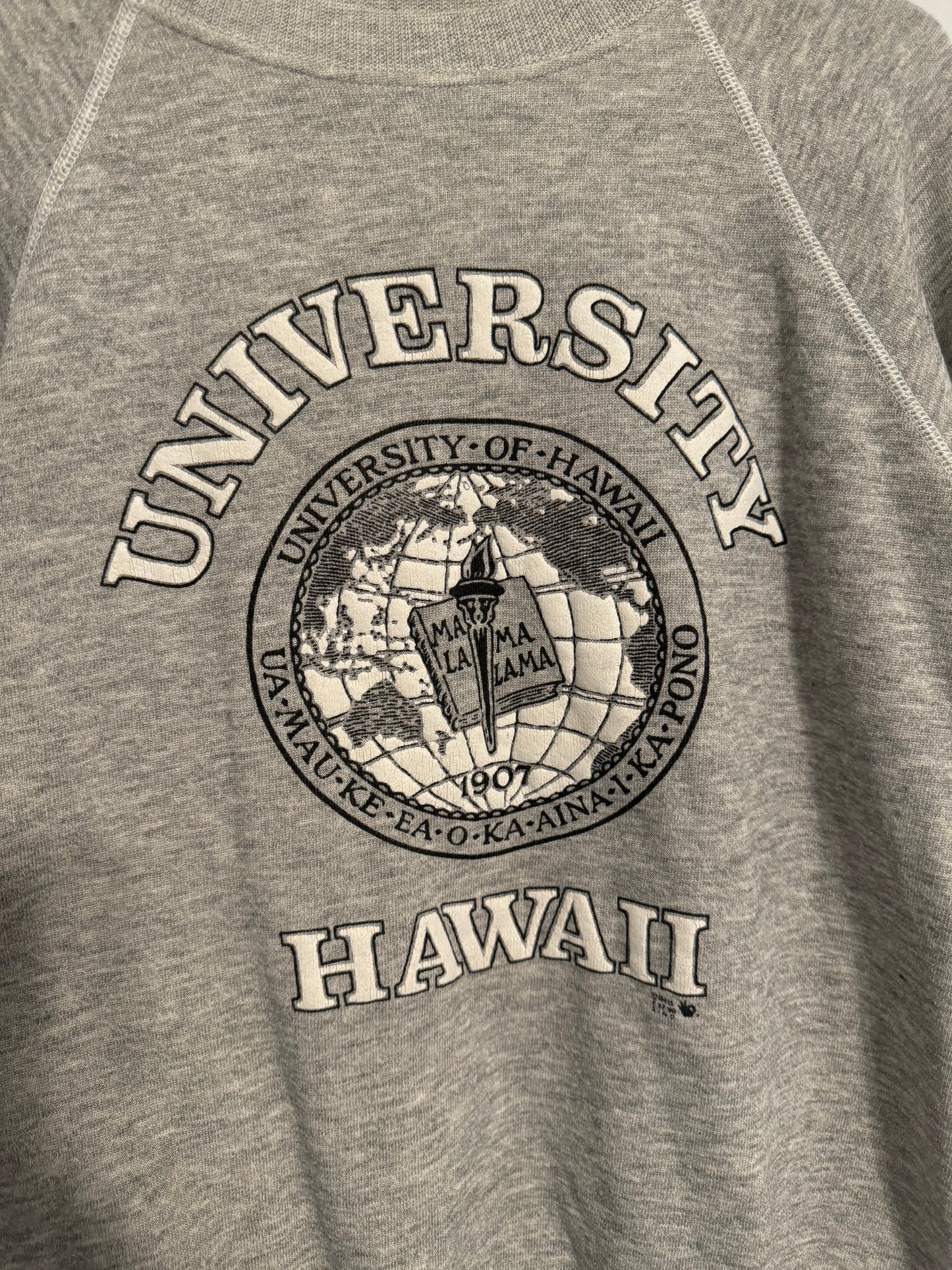 University of Hawaii Sweatshirt by Hanes Size Medium.