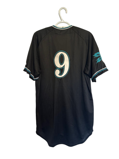 Rawlings Falcons Baseball Jersey #9